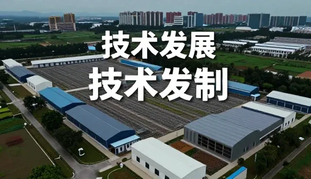 小程序开发在企业APP定制中的性能表现与适用场景分析